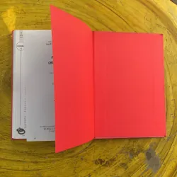 PHONG THUỶ CHO BẠN GÁI TRẺ TỐ NỮ TRẠCH KINH - minh đường 1023332