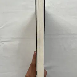 The Diary of Mary Travers - Eibhear Walshe   784972