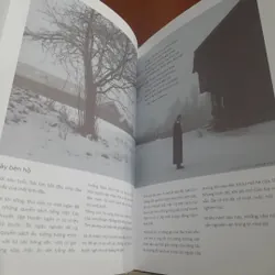 Alpha woman NGO THANH VAN, thành công ngoài vùng an toàn (có đề tặng của nữ diễn viên) 739048