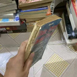 Nhân Chứng Chiến Tranh của tác giả Hoàng Dân xb  1995 1011485