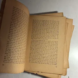 Những đốm lửa 736524