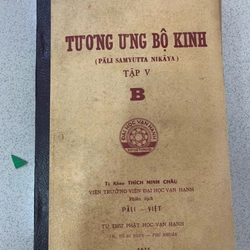 TƯƠNG ƯNG BỘ KINH (PALI SAMYUTTA NIKAYA) - THÍCH MINH CHÂU 529984