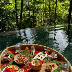 Khay đồ ăn nổi hồ bơi 506669