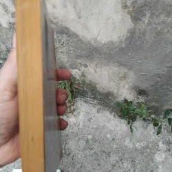 Quang Dũng người và thơ của Hoài Việt ( bản in lần 2 ) 1023973