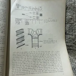 Virus học - dịch từ tiếng Nga V.M. ZĐANỐP S.I. GAIĐAMÔVICH 1009300