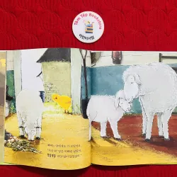 Set 5 quyển sách tranh tiếng Hàn bìa cứng 930892