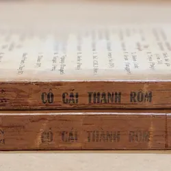 Trọn bộ 2 tập tiểu thuyết CÔ GÁI THÀNH ROME (Alberto Moravia) 729303