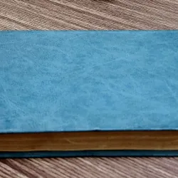 Sách viết về đại văn hào Ivan Turgenev (nhiều thông tin ít người biết) 763185