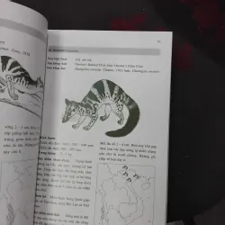 Giới thiệu một số loài thú của Đông Dương và Thái Lan 975216