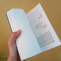 Tiếp sau nỗi buồn ,sách văn học, sách lịch sử  715287