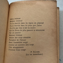 Bonjour Tristesse 509335