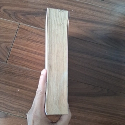 Cậu chủ hồ đồ 510031