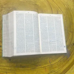 TỪ ĐIỂN ANH - VIỆT - ENGLISH - VIETNAMESE DICTIONARY NEW EDITION  699409