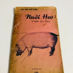 NUÔI HEO 1966