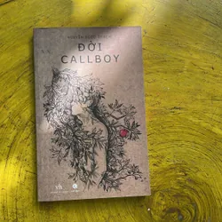 ĐỜI CALLBOY - NGUYỄN NGỌC THẠCH (2)