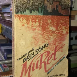 Thành phố bên sông Muret - Francis Munteanu