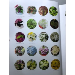 Blossom in home Nhà là nơi những sắc hoa ngập tràn 2015 mới 90% Bảo Nam HPB3007 TẠP CHÍ, THIẾT KẾ, THỜI TRANG 458699