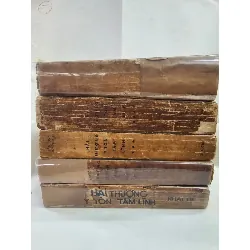 HẢI THƯỢNG Y TÔN TÂM LĨNH - LÊ HỮU TRÁC ( DỊCH GIẢ HOÀNG VĂN HOÈ ) 301168