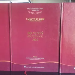 Tạng Vô Tỷ Pháp - 7 cuốn 717706