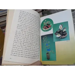 Hoa và cây cảnh - Đào Mạnh Khuyến 524648