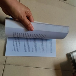 Con gái bà Triệu thế kỉ 21  493873