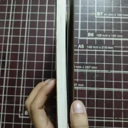 Ảnh hưởng đạo Phật trong đoạn trường Tân Thanh - Dương Anh Sơn 731139