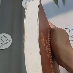 Luật Doanh nghiệp (Song ngữ Việt - Anh) 688498