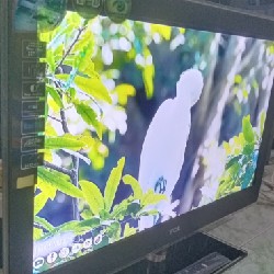 Tivi Led Mỏng 32" TCL Viền Kính Full Phụ Kiện Thanh lý 6234