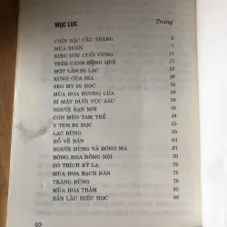 Chín bậc cầu thang 973618