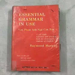 Essential Grammar In Use - Raymond Murphy