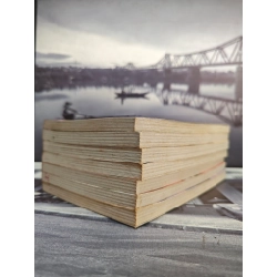 Truyện tranh thư ký ma cà rồng 460820