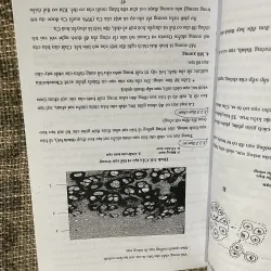 Mô học DÙNG CHO ĐỐI TƯỢNG CỬ NHÂN ĐIỀU DƯỠNG; khổ lớn  1029877