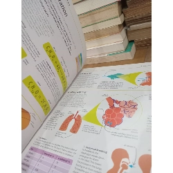 Help your kids with science - Carol Vorderman 934187