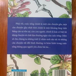 OSHO người yêu chim hải âu ( sách tâm lý học) 561813