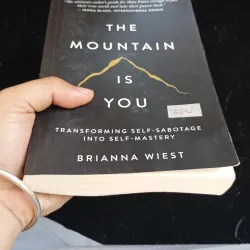 The mountain is you, Brianna Wiest 1003257