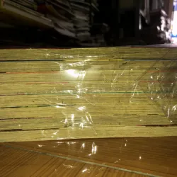 Cat street - Yoko Kamio 778926