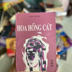 Hoa Hồng Cát - Văn Chinh