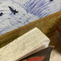 Nền Chính Trị Ma Túy Ở Đông Nam Á - Alfred W McCoy 734991