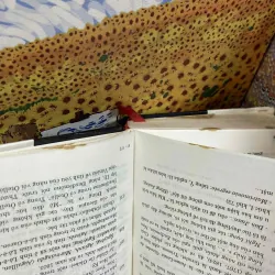 Đỏ Và Đen - Stendhal 1025616