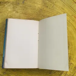 GOODBYE STRANGER - REBECCA STEAD 762299