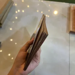 TIẾNG HÚ BAN ĐÊM - THẾ LỮ  1045609