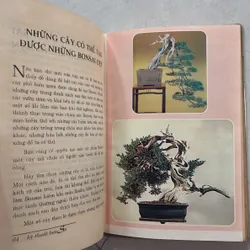Kỹ thuật Bonsai - Hoài Đức 720789
