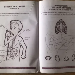 Cùng khám phá tiếng anh - Môi trường Sống - 3A 1004065