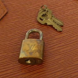 Túi Louis Vuitton Epi Alma PM M52143 615469