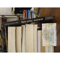 Thần số học làm chủ cuộc đời- Michelle Buchanan 799016