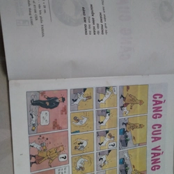 Tintin càng cua vàng  502825