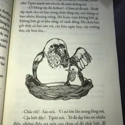 Tipiti chim cổ đỏ 926747