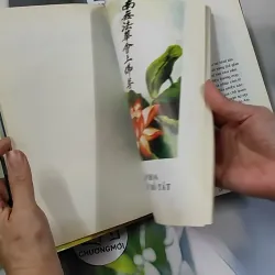 Phổ Môn Phẩm (họa tập) 750745