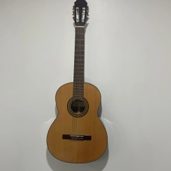 Đàn guitar thường RidgeWay model C6100