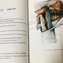 BỘ 2 TẬP GIẢI PHẪU HỌC  799609